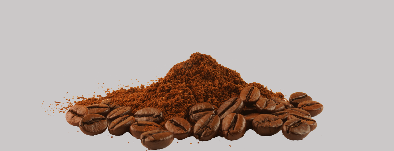 best arabica coffee beans