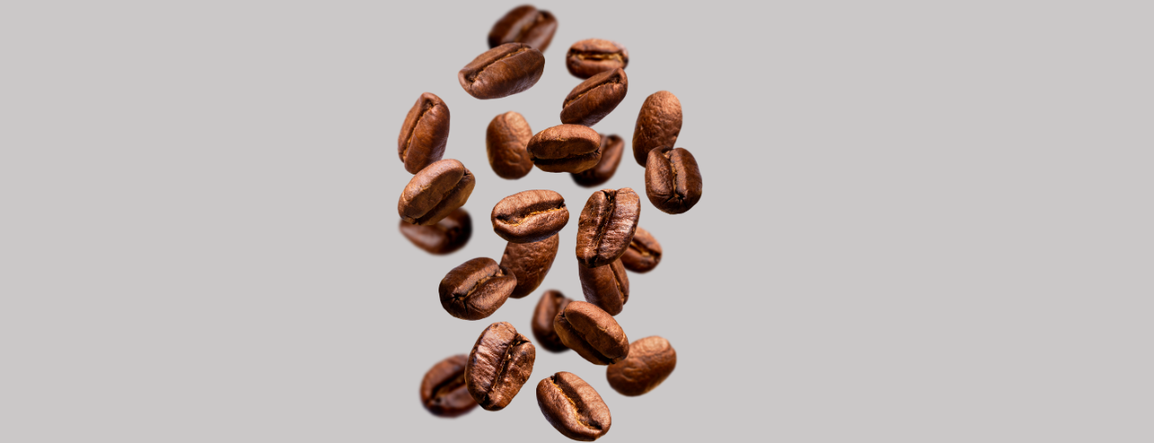 best arabica beans