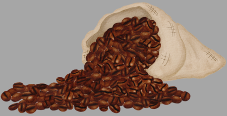 arabica beans