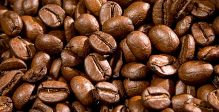 arabica coffee beans