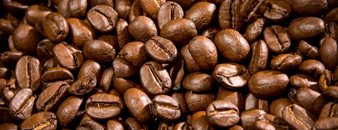 arabica coffee beans