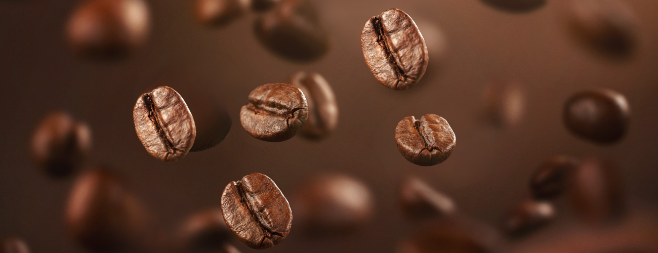 arabica coffee beans