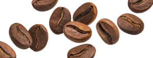 best arabica beans