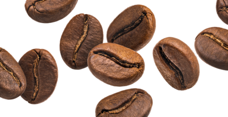 best arabica beans