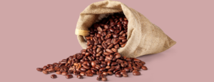 best arabica beans