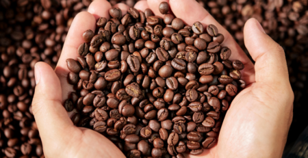 best arabica coffee beans