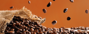 best arabica coffee beans