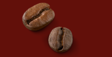 arabica coffee beans