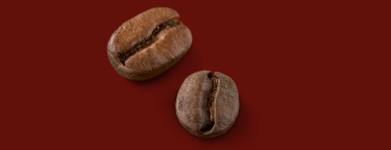 arabica coffee beans