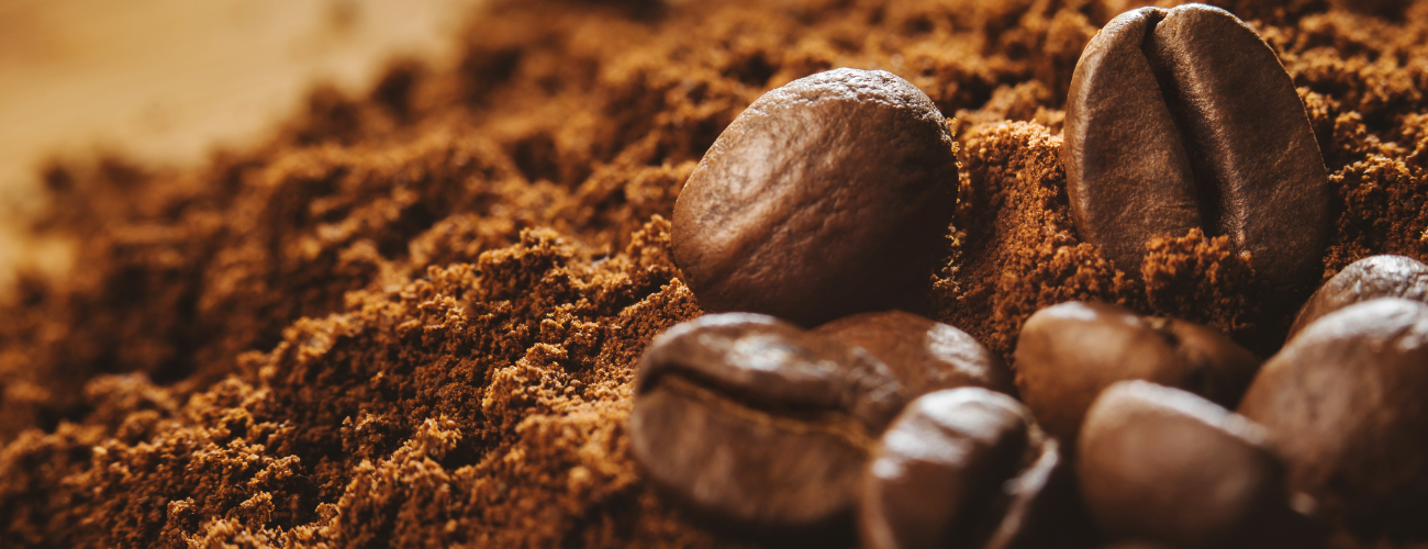 best arabica coffee beans